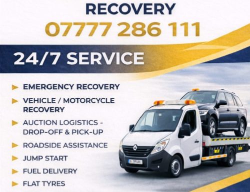 WhatsApp Image 2026-02-18 at 17.36.34